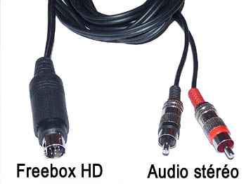 fbx2audhq Cordon cable audio stro blind mini din 9 broches pour Freebox HD vers 2 rca male L=1,7m fiches rca mtal