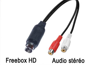 fbx2rcaf Cordon cable adaptateur audio stro blind mini din 9 broches pour Freebox HD vers 2 RCA femelles L=10cm